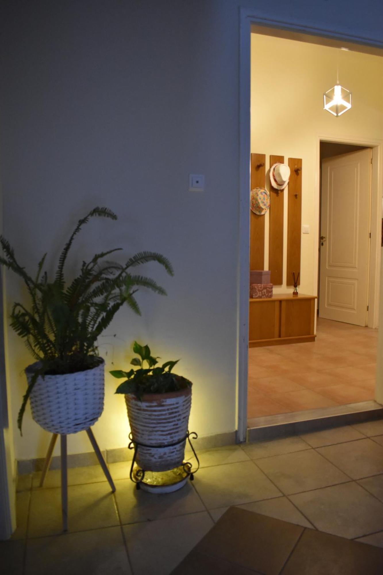 Άlthea Apartment Chalkís المظهر الخارجي الصورة
